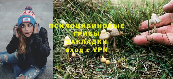 a pvp Богородицк