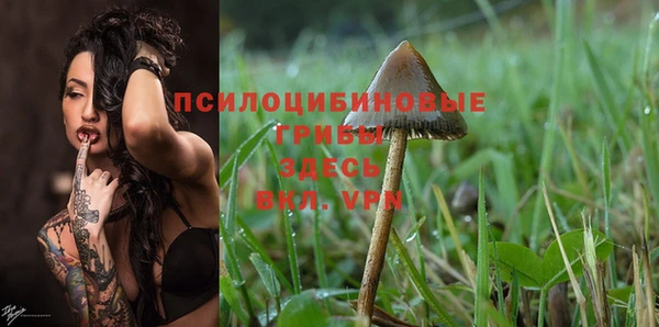 a pvp Богородицк